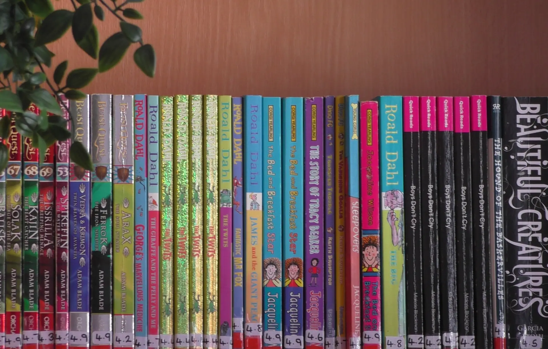 Bookcase at Mortimer House School.